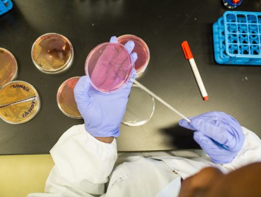 laboratorio de microbiologia laboratorio de microbiologia